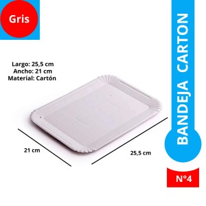 BANDEJA CARTON GRIS REC N°4 x 100u